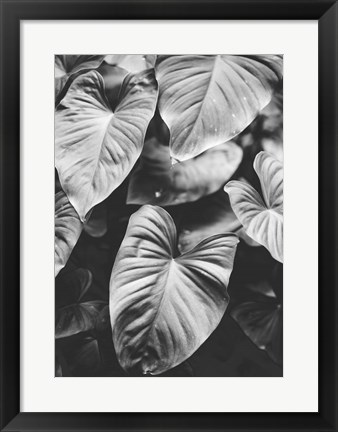 Framed Leaves of Grey Print