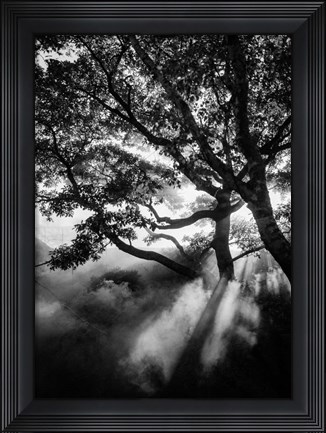 Framed Misty Black Print