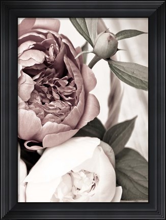 Framed Opulent 2 Print