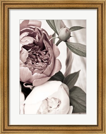 Framed Opulent 2 Print