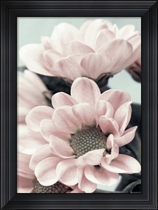 Framed Opulent 3 Print