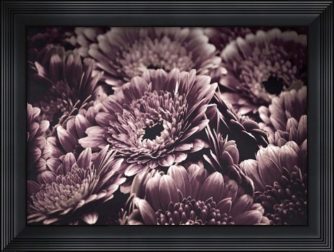 Framed Opulent 4 Print