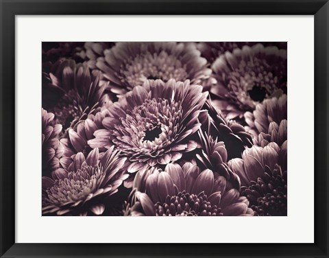 Framed Opulent 4 Print