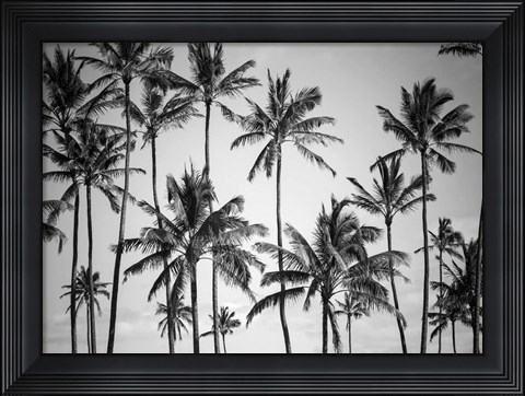 Framed Palm Heaven Print