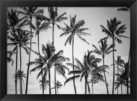 Framed Palm Heaven Print