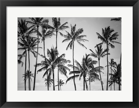 Framed Palm Heaven Print