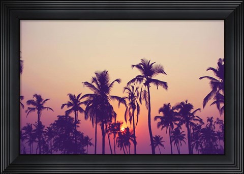 Framed Palm Sky 1 Print