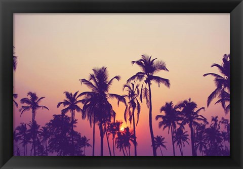 Framed Palm Sky 1 Print