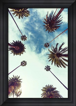 Framed Palm Sky 2 Print