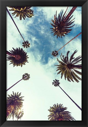 Framed Palm Sky 2 Print