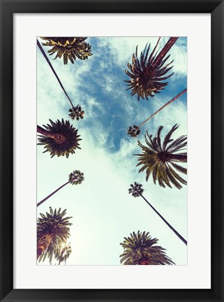 Framed Palm Sky 2 Print