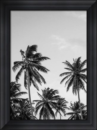 Framed Palms in Grey Print