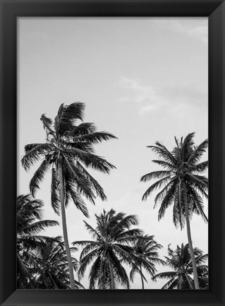Framed Palms in Grey Print