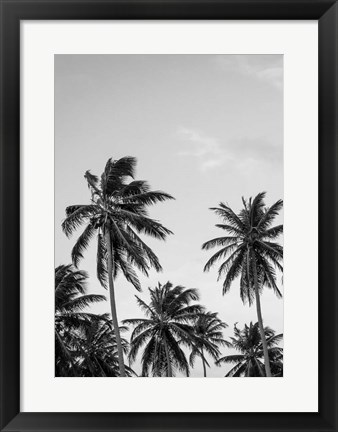 Framed Palms in Grey Print