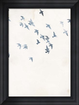 Framed Pigeons Sky Print