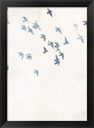 Framed Pigeons Sky Print