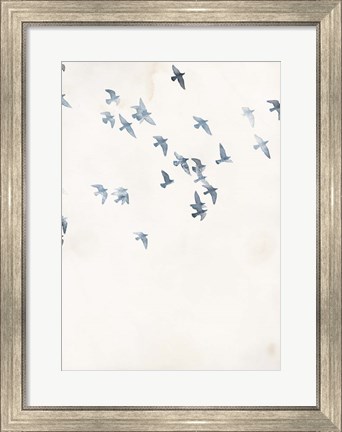 Framed Pigeons Sky Print