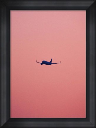 Framed Pink Flight Print