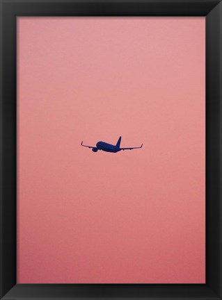 Framed Pink Flight Print