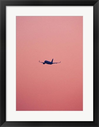 Framed Pink Flight Print