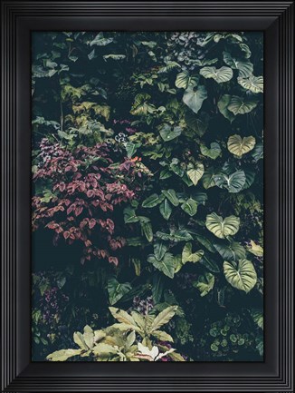Framed Plant Wall Print