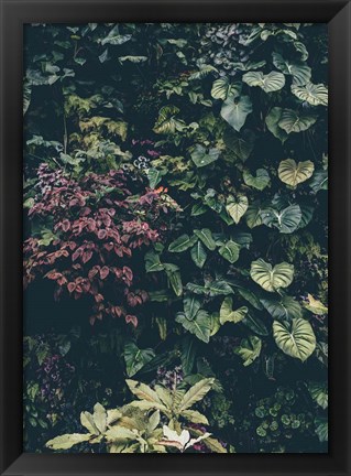 Framed Plant Wall Print