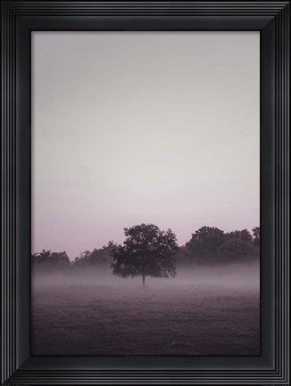 Framed Purple Light 2 Print