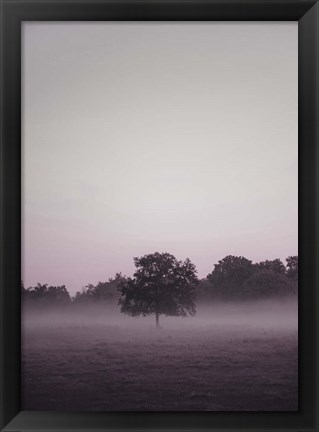 Framed Purple Light 2 Print