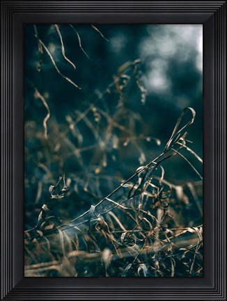 Framed Secret 1 Print