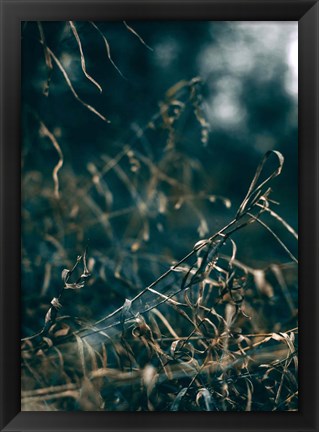 Framed Secret 1 Print