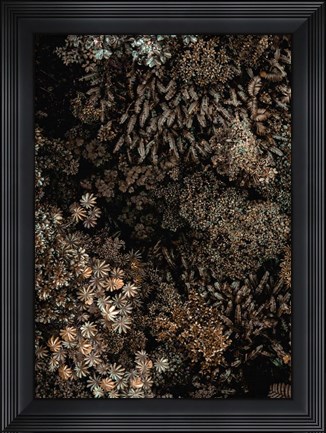 Framed Secret 11 Print