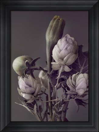 Framed Secret 13 Print