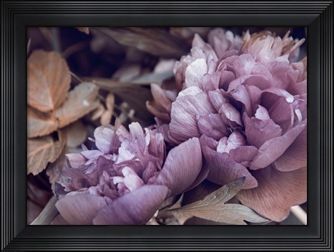 Framed Secret 14 Print