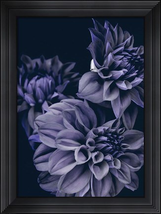 Framed Secret 15 Print
