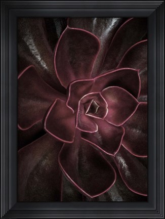 Framed Secret 16 Print