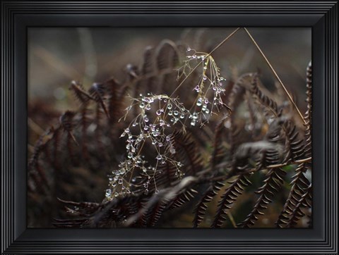 Framed Secret 2 Print