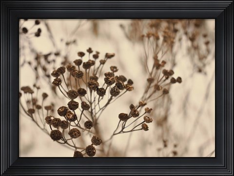 Framed Secret 3 Print