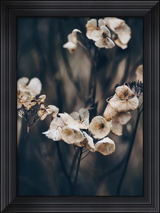 Framed Secret 4 Print