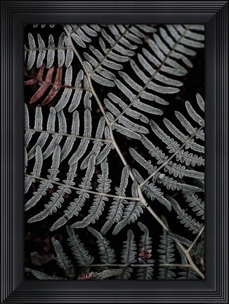 Framed Secret 6 Print