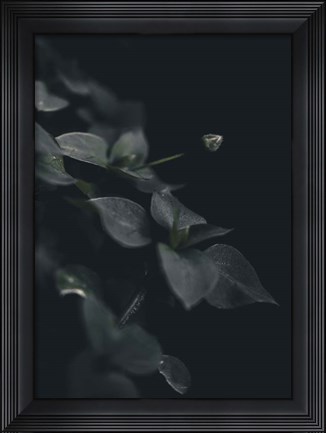 Framed Secret 9 Print