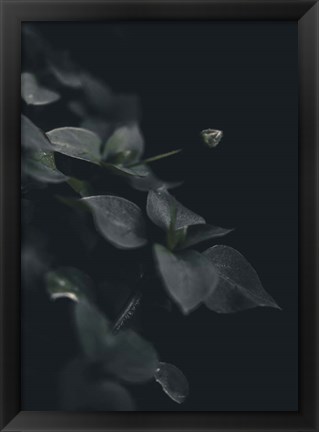 Framed Secret 9 Print