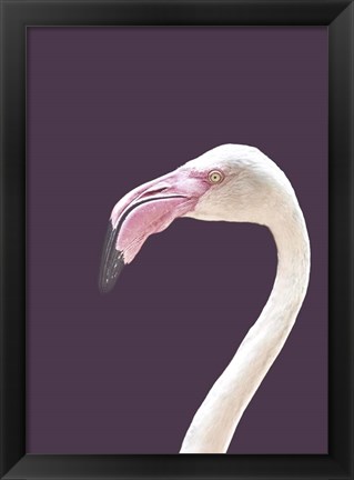 Framed Flamingo Print