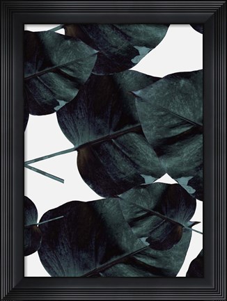 Framed Tropic Sensation Print