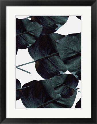 Framed Tropic Sensation Print