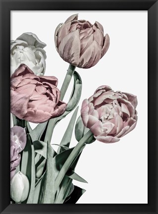 Framed Tulips Bright Print