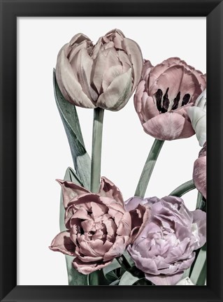 Framed Tulips Bright 2 Print