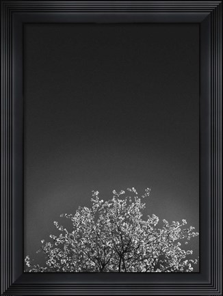 Framed Twinkling Lights 1 Print