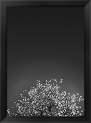 Framed Twinkling Lights 1 Print