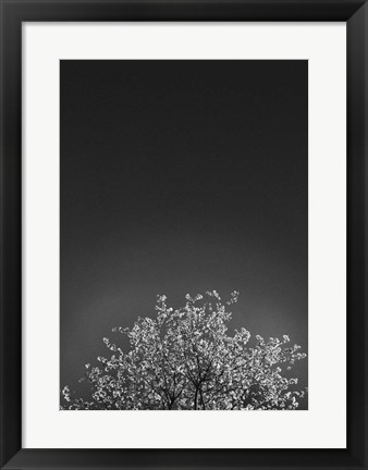 Framed Twinkling Lights 1 Print