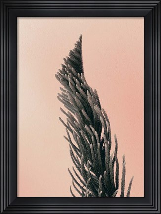 Framed Upwards 1 Print